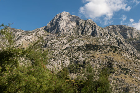 Rocky mountain with a general vegetationの写真素材