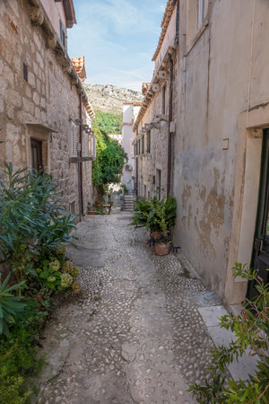 Narrow street in the old medieval town of mediterranean country with lot of flowersの写真素材