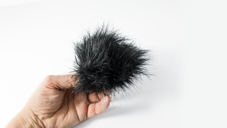 Pom pom from furの写真素材