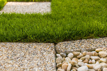 Freshly cut grass and stonesの写真素材