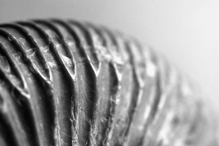 Ammonites of the jurassic period, detailの写真素材