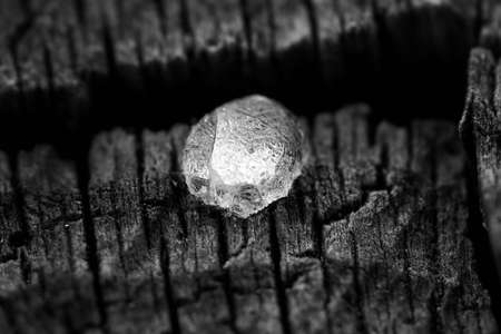 Extrem macro of a resin drop on a woodの写真素材