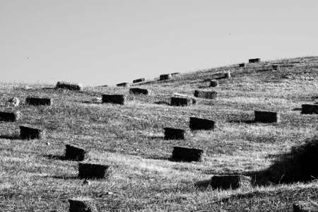A suggestive view of the sicilian mountain. A cultivate field.の写真素材