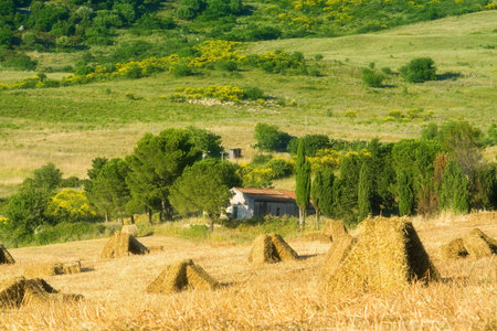 A suggestive view of the sicilian mountain. Madonie mountain
