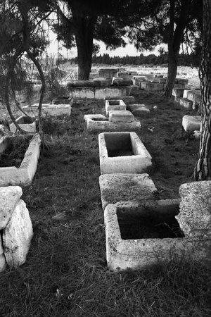 Megara Hyblea are ruins of a very old greek city in the oriental Sicily - Melilli - Siracuse - Italy