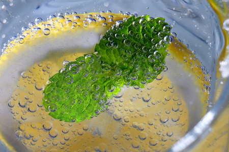 Mint leaves and lemon slice in water with bubblesの写真素材
