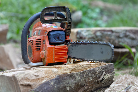Professional chainsaw on a sawn tree in the forestの写真素材