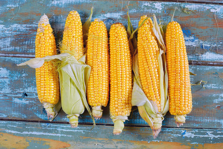Cob fresh yellow corn lying on a wooden background. Rustic style