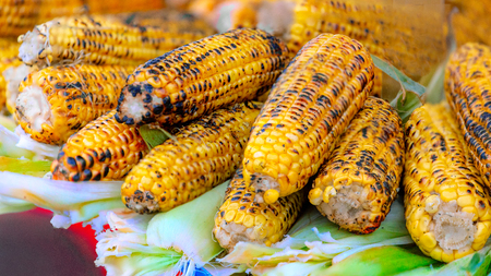 Corn on the cob grilledの写真素材