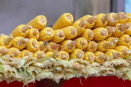 Corn on the cob grilledの写真素材