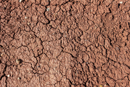 Brown cracked earth, clay soil, cracksの写真素材