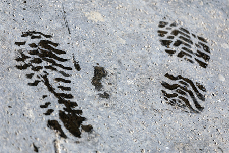 Wet footprints on the stepsの写真素材