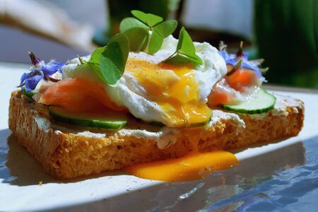 Smorrebrod, Danish Open Sandwich with Smoked Salmon, square with poached eggの写真素材