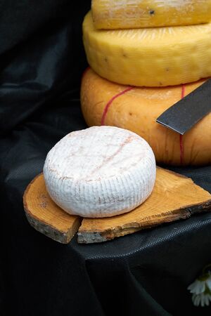 Heads of natural organic homemade cheese on the market. black backgraungの写真素材