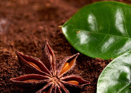 star anise on a background of ground coffee with green leaves. close upの写真素材