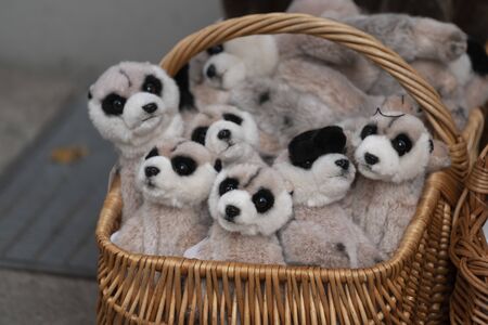 plush meerkats in a wicker basket. soft toys-meerkats in the gift shopの写真素材