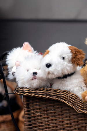 plush puppies in a wicker basket. stuffed toys on the counter. close up