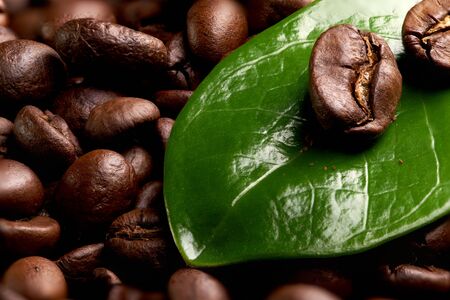 coffee bean on a green leaf with drops of water lying on the background of coffee beansの写真素材