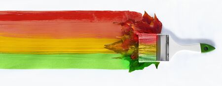 paint brush in the colors of autumn. brush across the page draws a strip of autumn colors. Autumn maple leaves. concept: autumn creative, sale, Black Friday. copy space. isolate of white.の写真素材