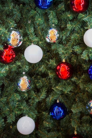 Christmas toys on the background of the Christmas treeの写真素材