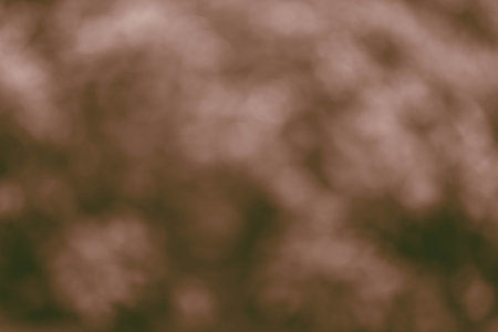 Background Art