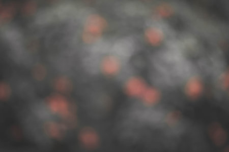 Background Art