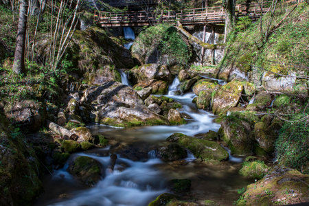 Cascade falls over mossy rocks - myrafallsの写真素材