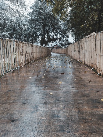 Vienna Christmas Market 2018 in Austria at Nightの写真素材