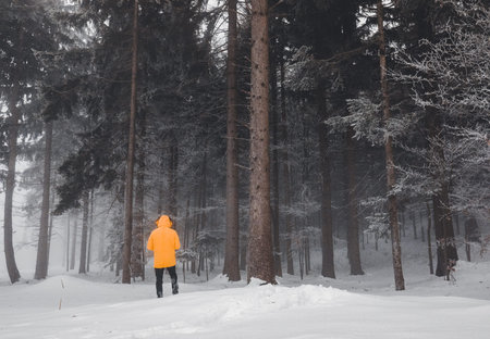 Back view closeup of Person wearing yellow jacket and hat, walking in beautiful winter season full...