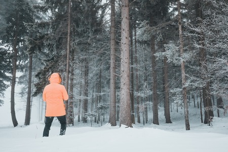 Back view closeup of Person wearing yellow jacket , walking in beautiful winter forest in austriaの写真素材