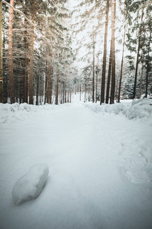 the winter road. Dramatic scene in a forest in lower austria with snow