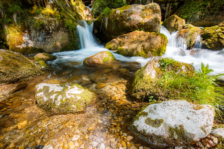 Cascade falls over mossy rocks - myrafalls in lower austria during springの写真素材