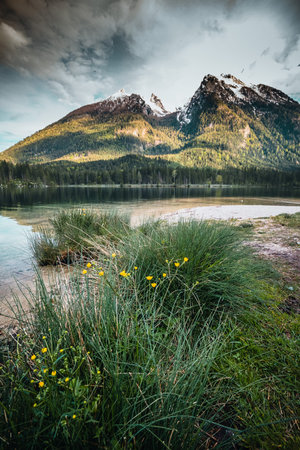 Amazing morning scenery on Hintersee Lake with alpine peaks reflected on the water.の写真素材