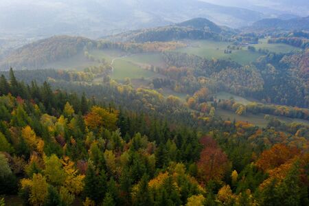 forest in autumn aerial view with drone in the austrian alpsの写真素材