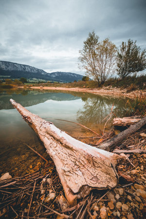 Lonely big tree with reflection,sky with dark clouds in austria