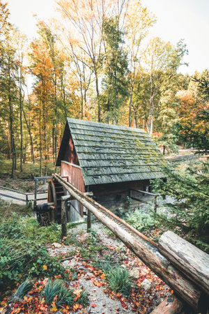Lovely wooden cabins in the forest in austria sparbach