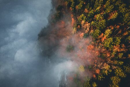Amazing aerial view of blue foggy river and colorful forest on sunrise. Autumn landscape. Drone shot in austriaの写真素材