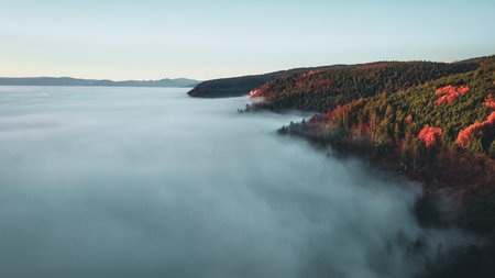 Amazing aerial view of blue foggy river and colorful forest on sunrise. Autumn landscape. Drone shot...