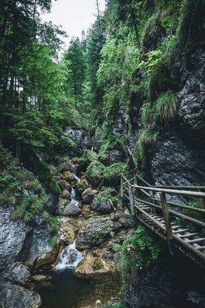 Waterfall in Autumn forest. Beautiful nature background.の写真素材