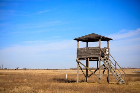 Birdwatching observation tower in a field with blue sky in summerの写真素材