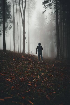 fog in a forest at night with mysterious silhouette and light in the distanceの写真素材