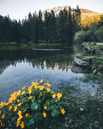 gruener see in austria with reflection of mountain in summerの写真素材