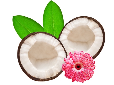 coconut isolated on white backgroundの写真素材