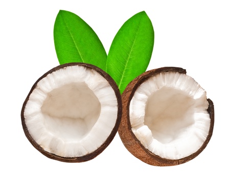 coconut isolated on white backgroundの写真素材