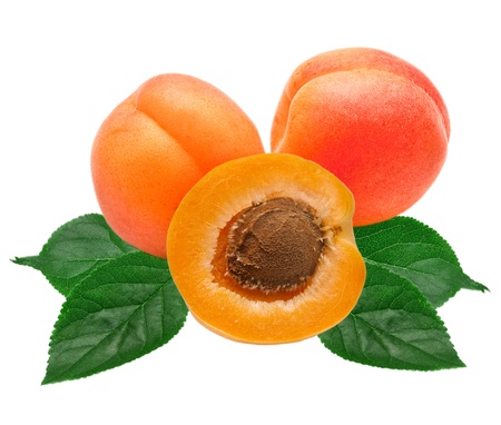 apricot isolated on white backgroundの写真素材