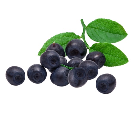 Blueberry isolated on white backgroundの写真素材