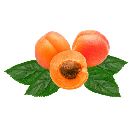apricot isolated on white backgroundの写真素材
