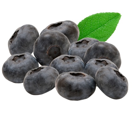 Blueberry isolated on white backgroundの写真素材