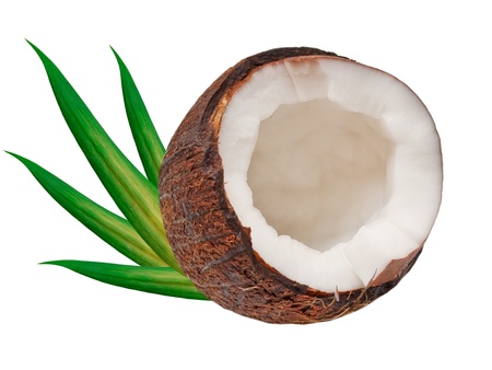 coconut isolated on white backgroundの写真素材