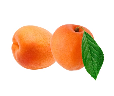 apricot isolated on white backgroundの写真素材